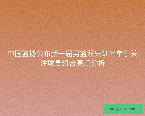 中国篮协公布新一届男篮双集训名单引关注球员组合亮点分析